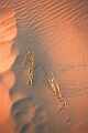 sand dunes, cardigan coast