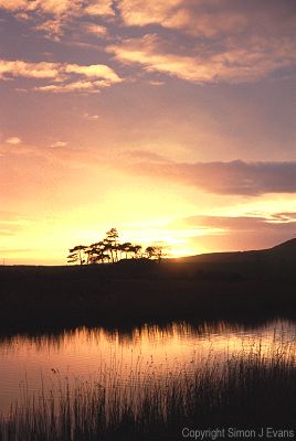 Sunset over Afon Dysynni