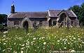 Wild flowers and Llangadwaladr church