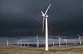 Wind turbines at Llandinam wind farm
