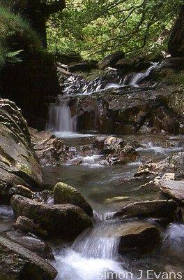 Afon Twymyn - the Pennant valley near Dylife, between Staylittle and Llanbrynmair, Powys