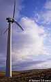 Wind turbines at Llandinam Wind Farm, Powys