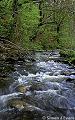 Stream in Coed Pendugwm nature reserve