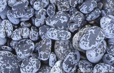 Raindrops make patterns on pebbles