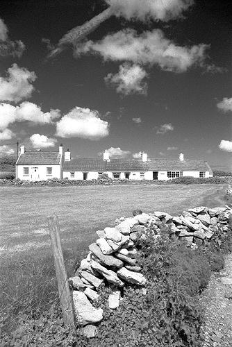 Cottages on Anglesey