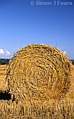 Round straw bales 