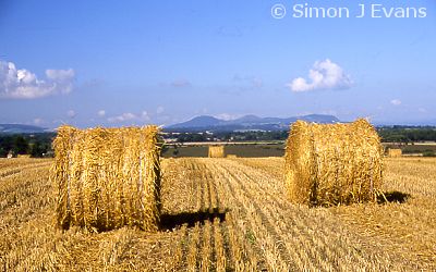 Round straw bales and the Breidden Hills