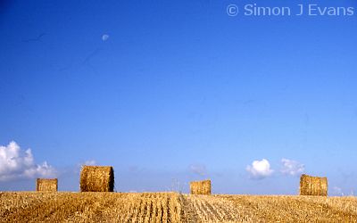 Round straw bales 
