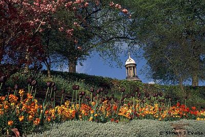 The Dingle in Shrewsbury's Quarry Park