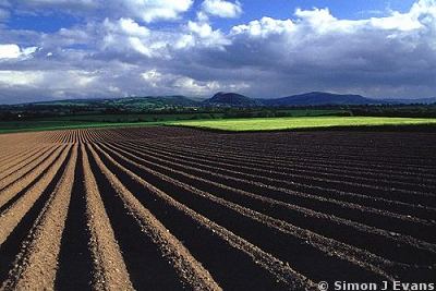 Earl's Hill and Pontesford Hill
