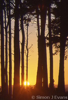 Sunset at Bromlow Callow