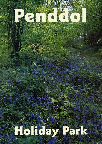 Bluebells