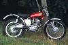 Triumph Tiger Cub